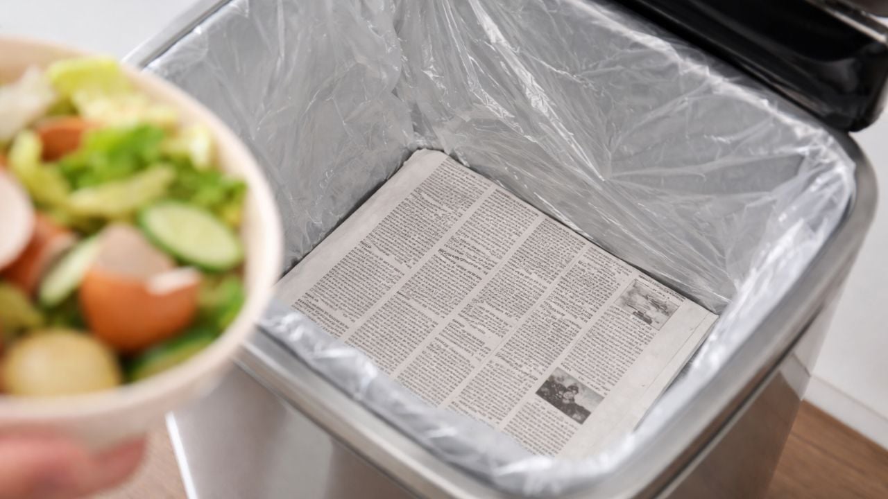 dat mot to giay vao day thung rac meo nho don gian bat ngo giau ngheo deu can lai de lam 155201