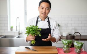 Dau Bep Nha Hang Chi Cach Bao Quan Rau Mui De Ca Thang Van Tuoi Mon Mon 090232