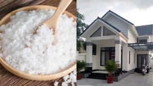 dau nam dat muoi o vi tri nay trong nha gia chu cong viec thuan loi lam dau thang do 224924