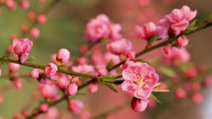 Đầu Năm Gặp 5 Điều Này, Báo Hiệu Năm Bính Ngọ 2026 Gặp Điềm Lành, Lộc Nhiều Không Dứt Dau Nam Gap 5 Dieu Nay Bao Hieu Nam Binh Ngo 2026 Gap Diem Lanh Loc Nhieu Khong Dut 231249