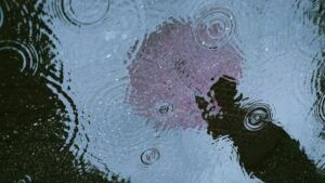 Dd4Ca9Dc56F9B4A35Bcecde1210F9A96 15