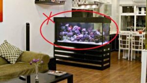 De Tranh Hao Tai Ton Cua Tuyet Doi Khong Dat 4 Vat Dung Nay Duoi Chan Ban Tho 130754