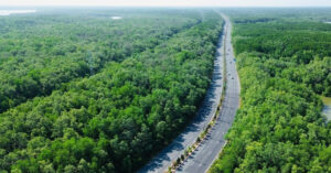 de xuat mo rong duong rung sac len 10 lan xe tong von hon 19 2030