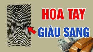 Dem So Hoa Tay Ra Dung So Nay Tien Tieu Khong Het So Suong Den Gia 110209
