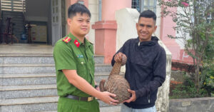 di soi ech phat hien te te java khung cuc quy hiem 1577