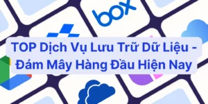 Dich Vu Luu Tru Du Lieu Hang Dau.webp