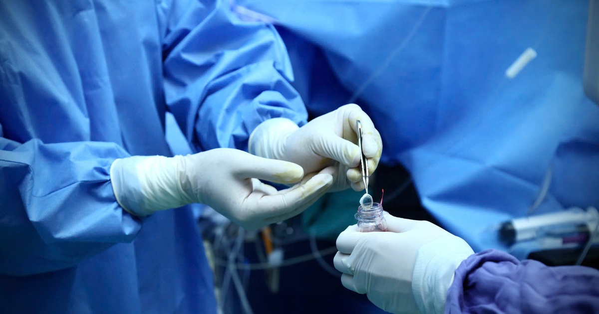 Dieu Duong 17682742247212107622124 84 0 1334 2000 Crop 1768274231831335339389