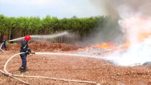 Lãnh đạo Đồng Nai chỉ đạo khẩn sau vụ 2 cháy rừng liên tiếp 1 dn 1