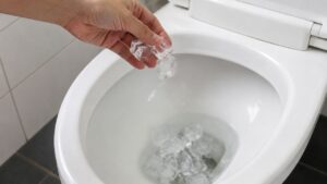 Đổ đá lạnh vào bồn cầu có tác dụng gì? Nhiều người bất ngờ, ai biết cũng muốn làm theo 2 do da lanh vao bon cau co tac dung gi nhieu nguoi bat ngo ai biet cung muon lam theo 110553