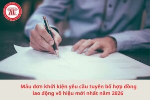 don khoi kien hdld vo hieu