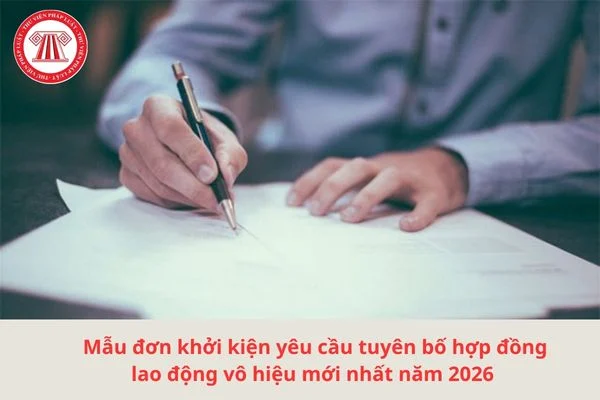 don khoi kien hdld vo hieu