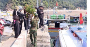 don nam moi binh yen o noi chi co hon chuc noc nha khong phao hoa cho tet 278