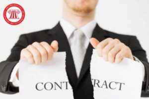 Don Phuong Cham Dut Hd