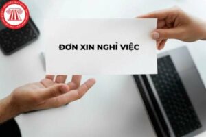 Don Xin Nghi Viec