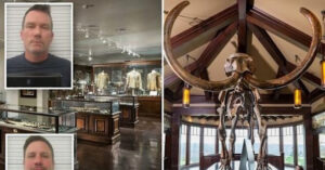 Đùa nghịch, 2 người đàn ông U50 làm vỡ ngà voi trị giá 5,2 tỷ đồng 1 dua nghich 2 nguoi dan ong u50lam vo nga voi tri gia 52 ty dong 2930