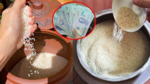 Dung 0H Dem Giao Thua Am Tham Dat Thu Nay Vao Thung Gao De Ca Nam May Man Tien Vao Nhu Nuoc 223337.J