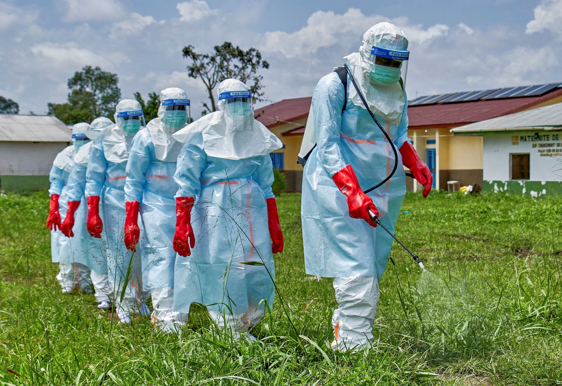 ebola ha han