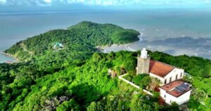 edit 3 1772439200236332287341 0 0 977 1867 crop 1772439342504422785955