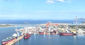 edit dongtau 17727890953611767921619 0 0 701 1122 crop 17727891151781638269140