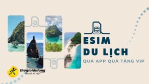 Esimdulich639059829709714904