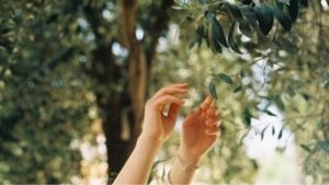 F6C92740957Afe5Cc7729Dd97Ec211Bb 18