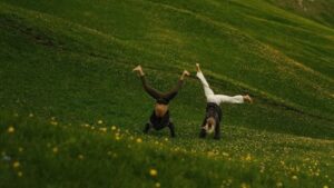 F8Fb9D9F1Eb42Fce6330Bcc71A23137B 2