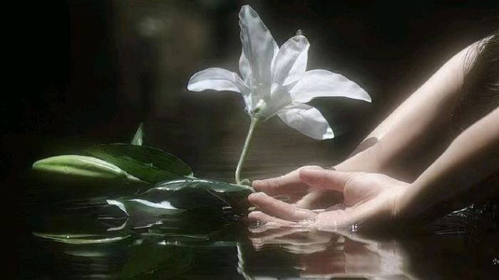 Fc3Dc2224D62D3D4557B03B7A36B6Aed 21