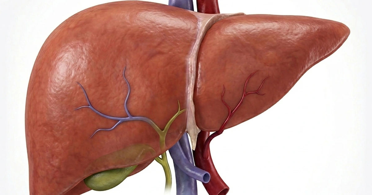 gan 17741618682851478372459 23 0 663 1024 crop 17741621535191816971136