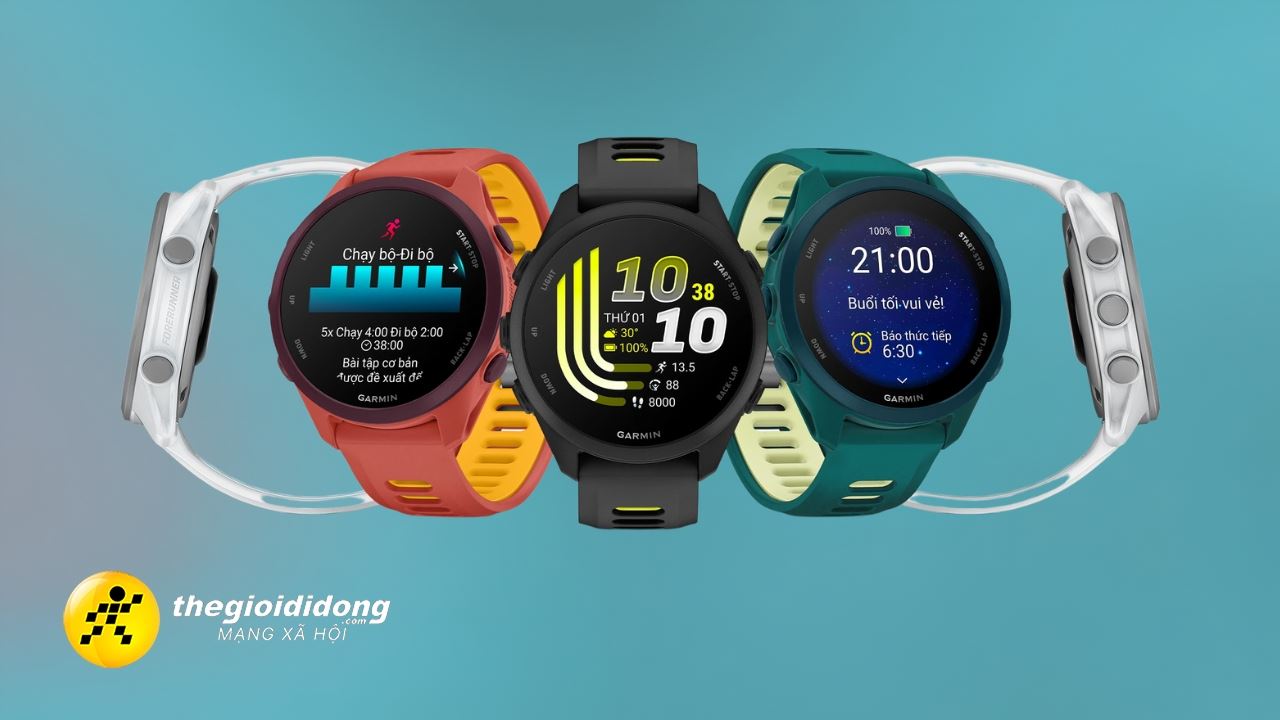 garmin forerunner 8639154791057894962
