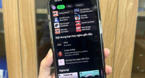 Gia Spotify Premium Tang 102 Tai Viet Nam 1272