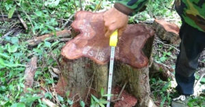 giam doc cong ty lam nghiep ea kar bi bat vi nhan hoi lo 363