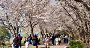 Giao bài tập lạ cho sinh viên, giáo sư ngành kỹ thuật gây 'bão' trên mạng xã hội 3 giao bai tap la cho sinh vien giao su nganh ky thuat gay bao tren mang xa hoi 2350