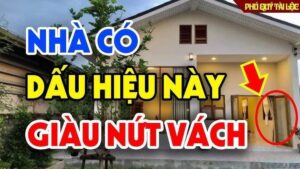giau nut 1017