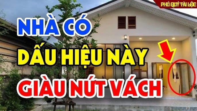 giau nut 1017