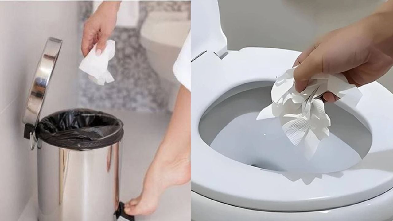 Giay Ve Sinh Dung Xong Nen Vut Vao Bon Cau Hay Vut Vao Thung Rac 223902