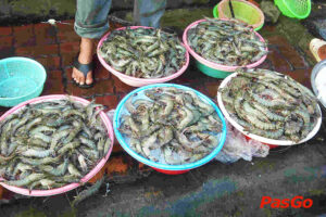 Hải Sản Bẩn – Người Việt Tự Đầu Độc Bản Thân?