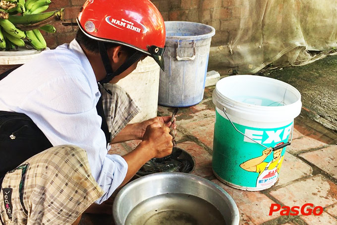 Hải Sản Bẩn – Người Việt Tự Đầu Độc Bản Thân? 2 Hai San Ban Nguoi Viet Tu Dau Goc Ban Than 2