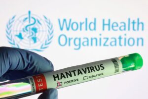 hantavirus 2