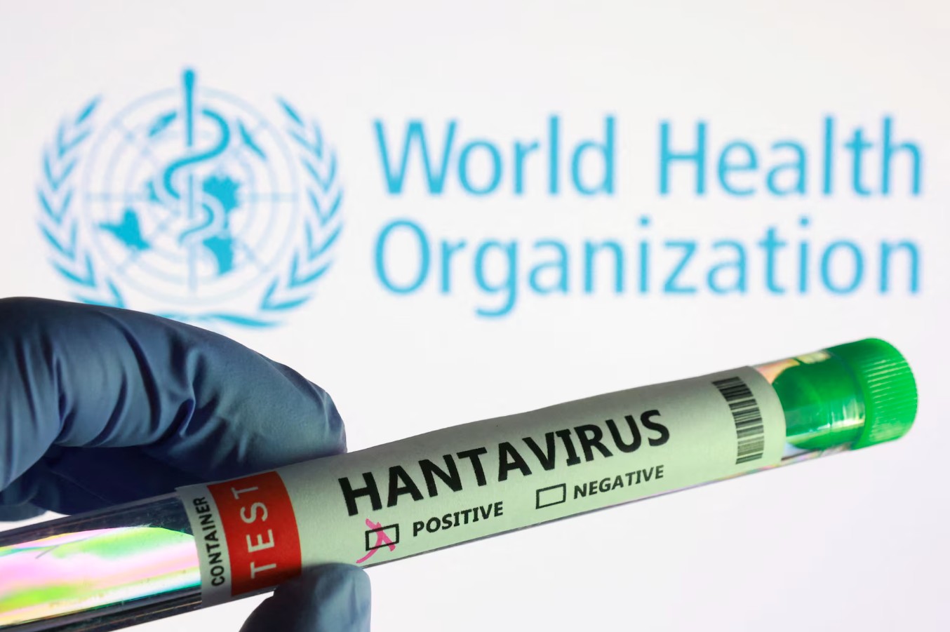 hantavirus 2