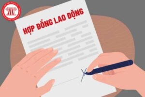 hdld duong nhien thanh khong xac dinh