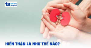 Hiến thận và thông tin quan trọng cần biết 1 hien than la gi