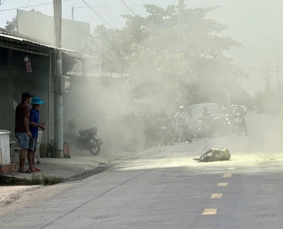 hien truong vu cham lua tu thieu giua duong giao thong