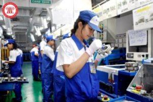 Tư liệu lao động gồm những loại nào, ví dụ về tư liệu lao động? 2 hinh anh 4546