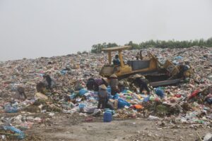 ho rac thai so 1 bai rac nghia ky 20260411181323