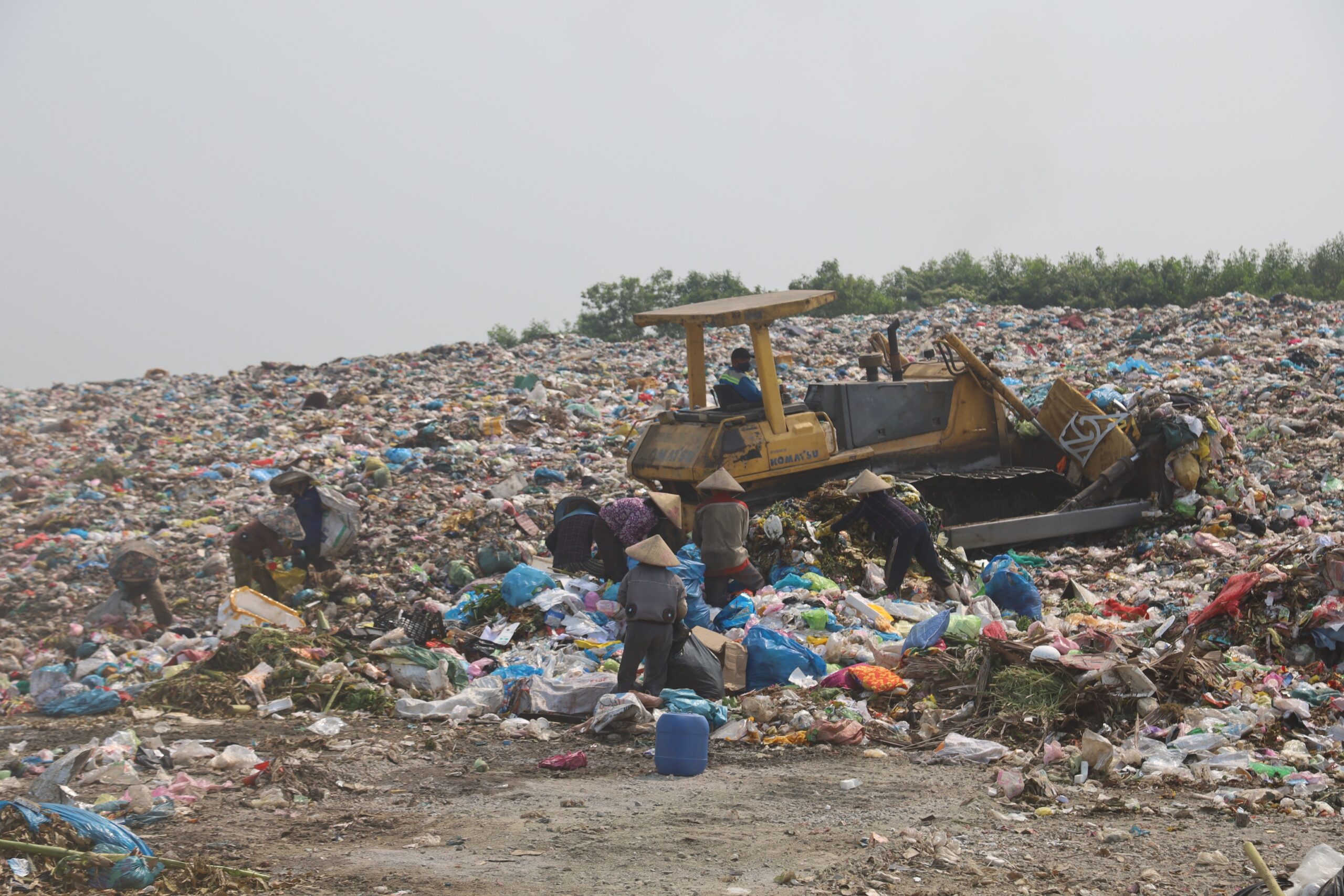 ho rac thai so 1 bai rac nghia ky 20260411181323