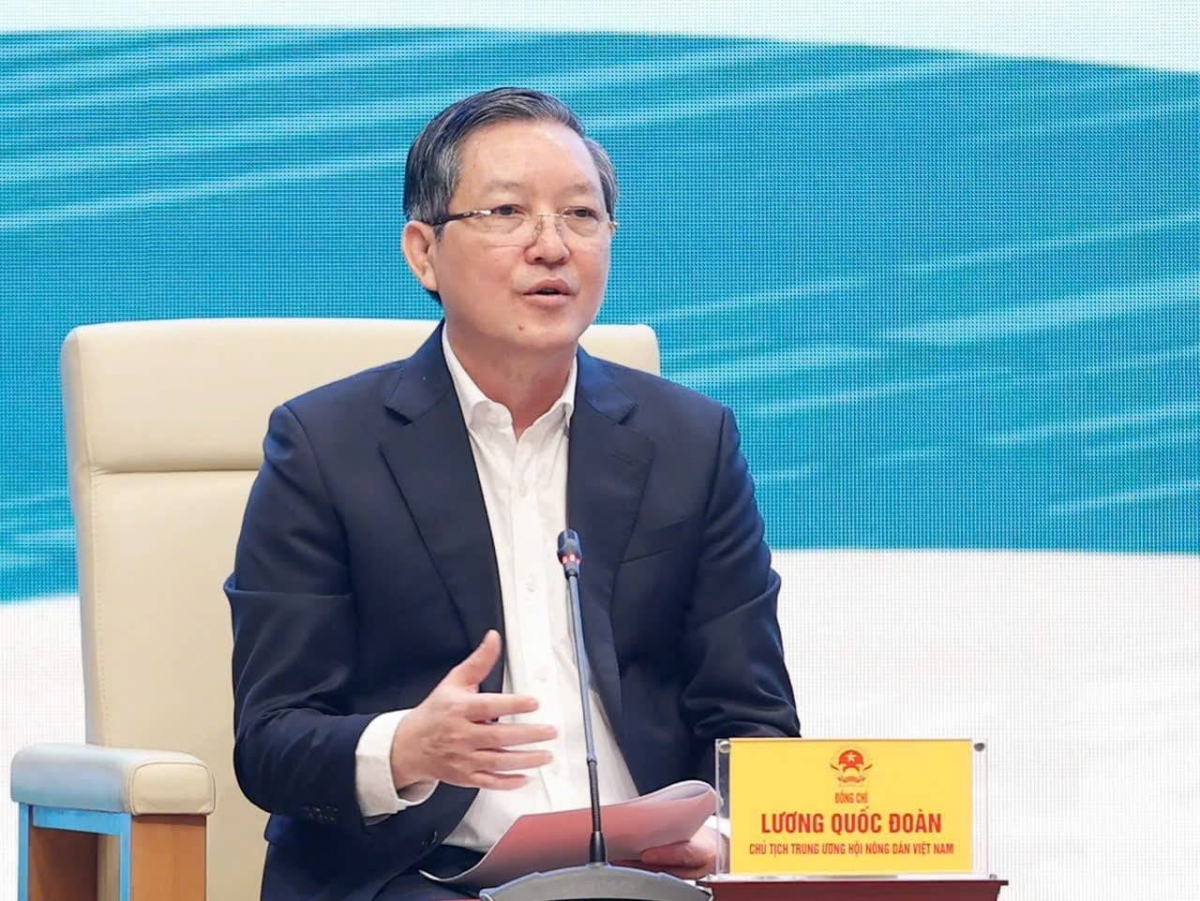 Hoi Nong Dan 8 103320260121073053