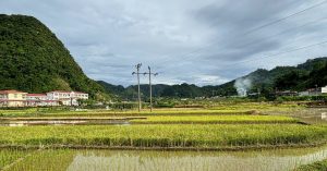 Hơn 40 Tuổi, Tôi Vẫn Được Mùa Hè Tuổi Thơ Vỗ Về 1 Hon 40 Tuoi Toi Van Duoc Mua He Tuoi Tho Vo Ve 2085