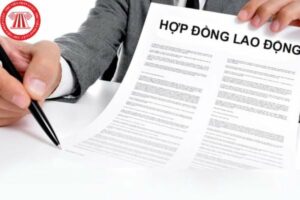 Hop Dong Lao Dong Duoc Ky Vao Khi Nao