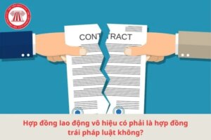hop dong trai pl