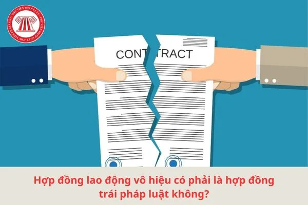 hop dong trai pl